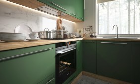 Silver Green Labrador