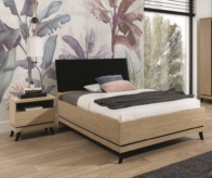 Voodi Ate AT15/120S.P. (120*200)