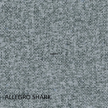Kangas Allegro Shark