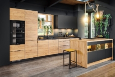 Kammono K2 tamm kuldne